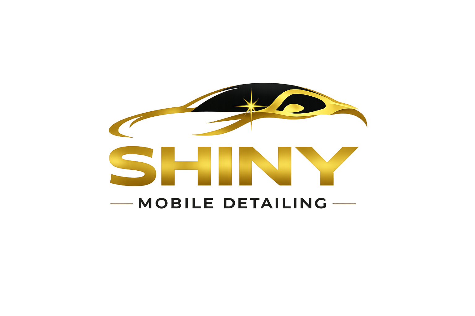 Shiny Mobile Detailing